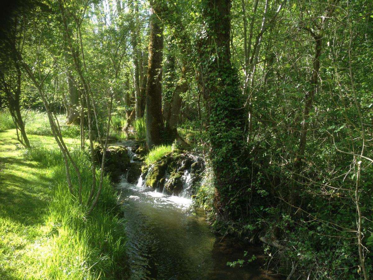 Bed & Breakfast Le Moulin Neuf Saint-Alvere Bagian luar foto