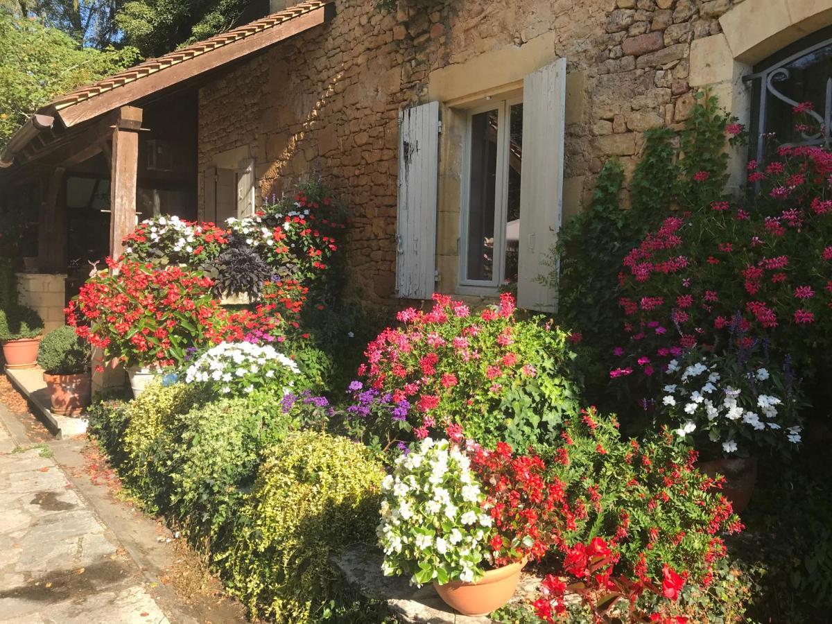 Bed & Breakfast Le Moulin Neuf Saint-Alvere Bagian luar foto