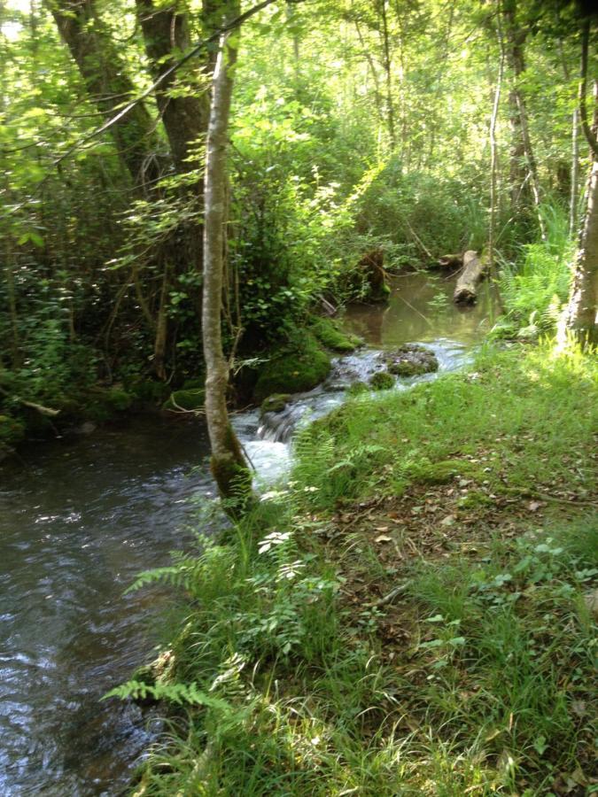 Bed & Breakfast Le Moulin Neuf Saint-Alvere Bagian luar foto