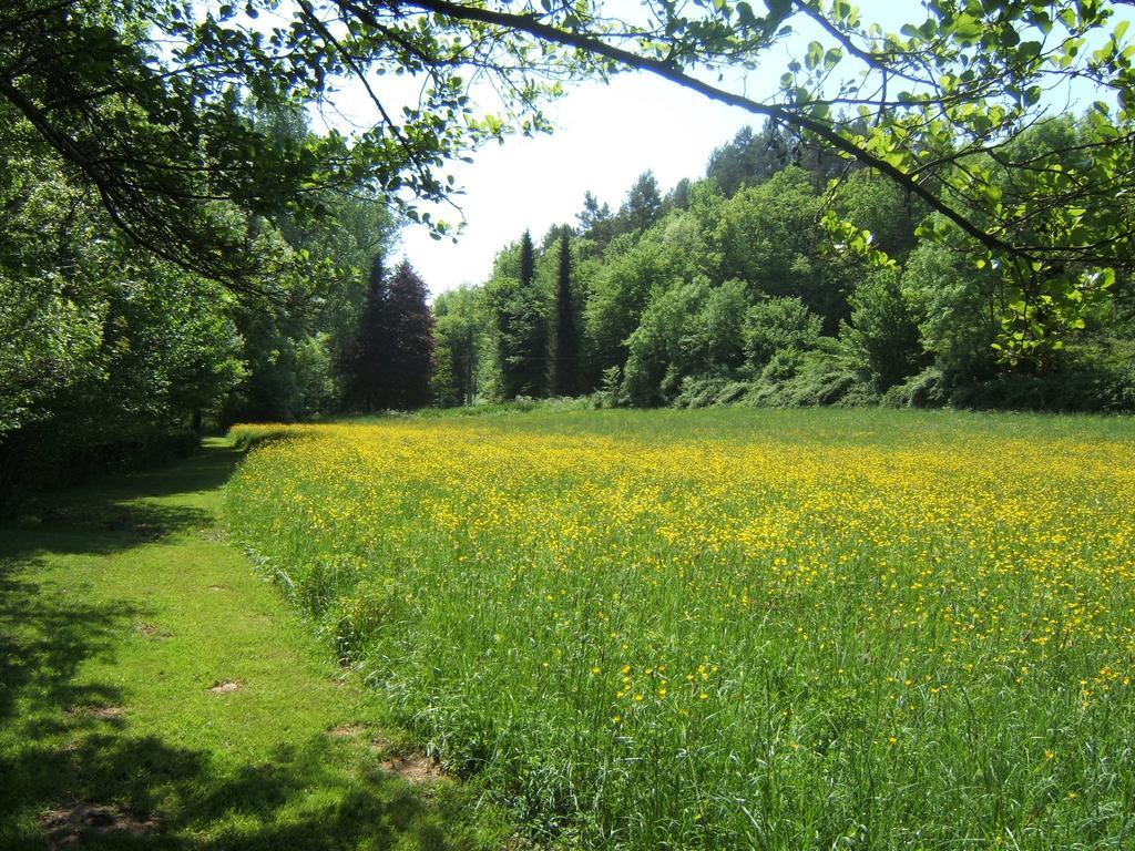 Bed & Breakfast Le Moulin Neuf Saint-Alvere Bagian luar foto