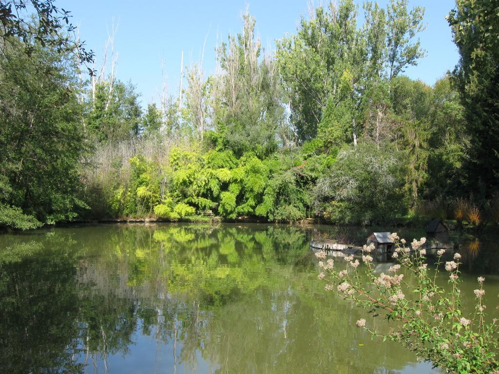 Bed & Breakfast Le Moulin Neuf Saint-Alvere Bagian luar foto